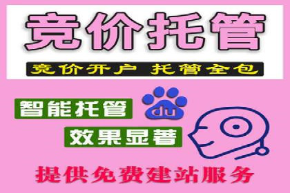行业先锋的SEM托管公司：如何打造营销新模式